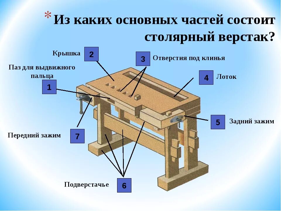 Скоба зажим на верстаке 9 букв сканворд. Столярный верстак 5 класс технология. Верстак столярный раскладной универсальный м550 чертеж. Верстак столярный школьный чертежи. Верстак столярный деревянный чертеж.