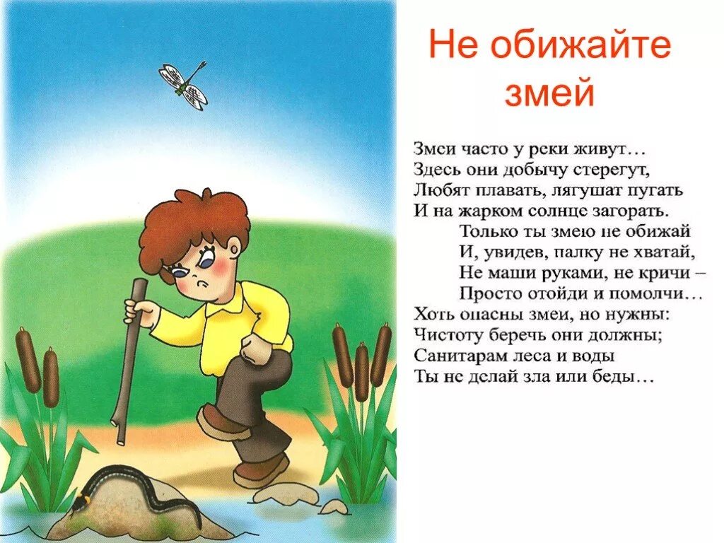 Не обижайте змей. Не обижай змей. Правила поведения на природе. Нельзя обижать природу. Обижать кругом