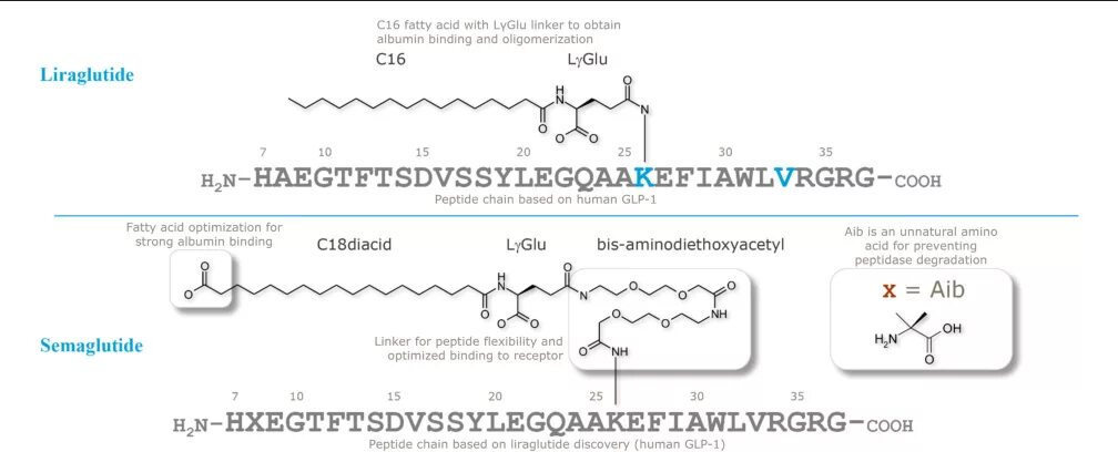 Лираглутид и семаглутид. Лираглутид структура. Лираглутид семаглутид дулаглутид. Лираглутид формула.