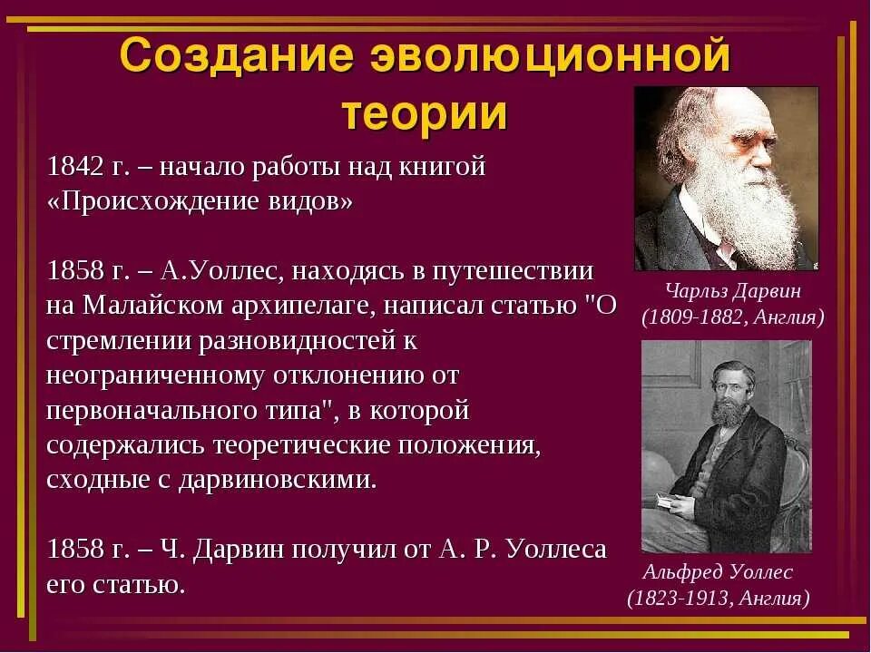 Основоположник теории эволюции. Создал эволюционное учение. Создание эволюционной теории. Создатели концепции эволюции.