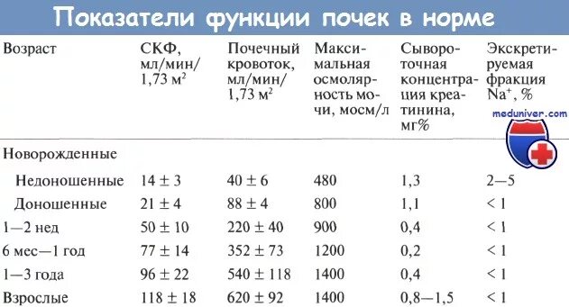 Размер почек у взрослых мужчин. УЗИ почек у детей норма. УЗИ почек норма у детей таблица. Размер почек у детей 5 лет норма по УЗИ. УЗИ почек таблица нормальные показатели.