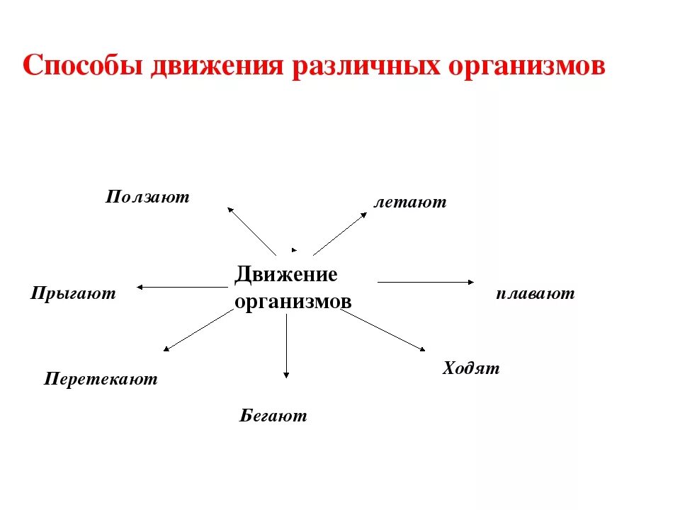 Движение 6 класс. Способы движения живых организмов. Способы передвижения живых организмов. Способы передвижения животных. Движение организмов таблица.