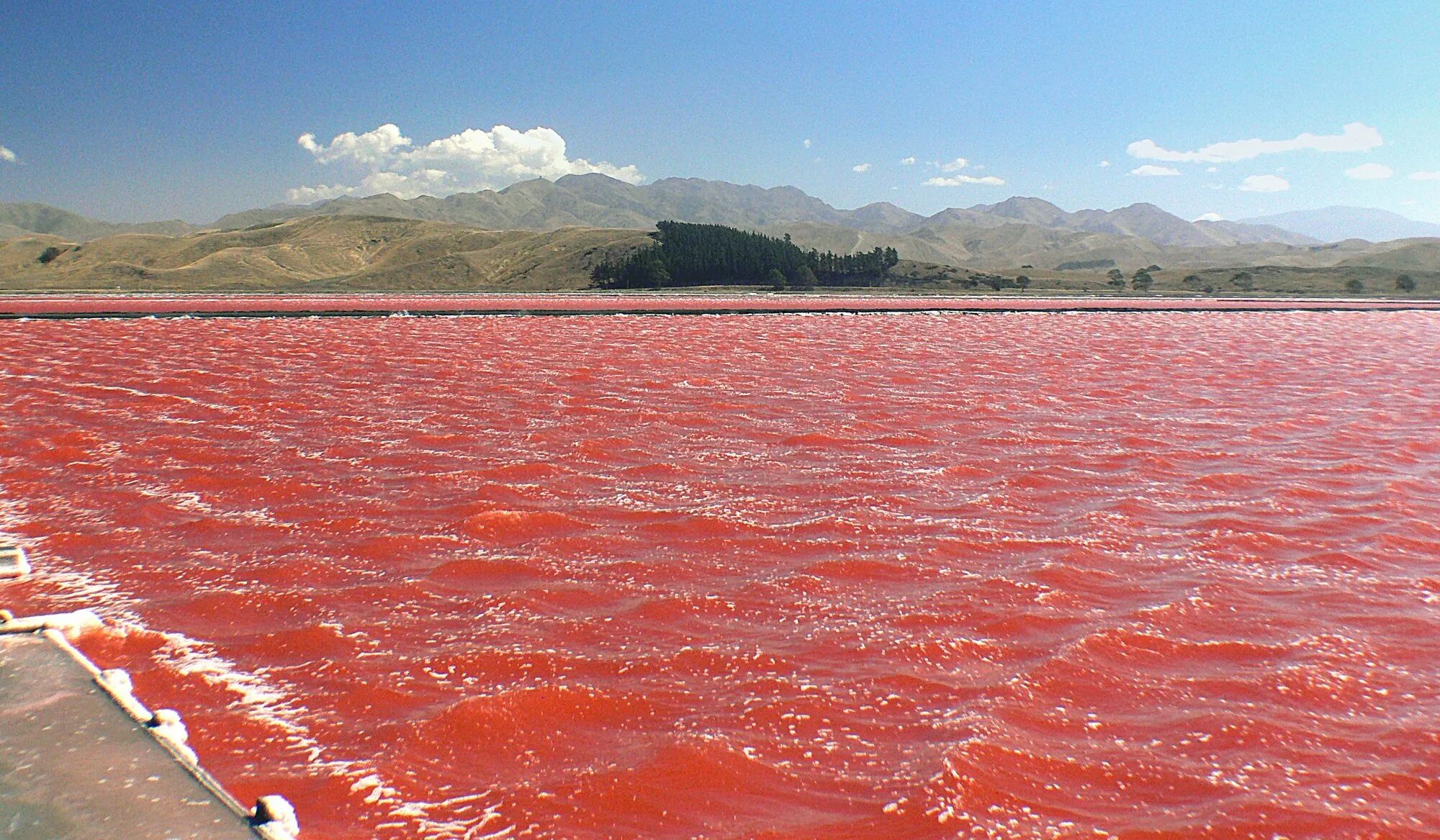Почему водоросли красные. Красное море цветение водорослей. Красный прилив на Красном море. Соленое озеро Ереван. Солт Илецк красное озеро.