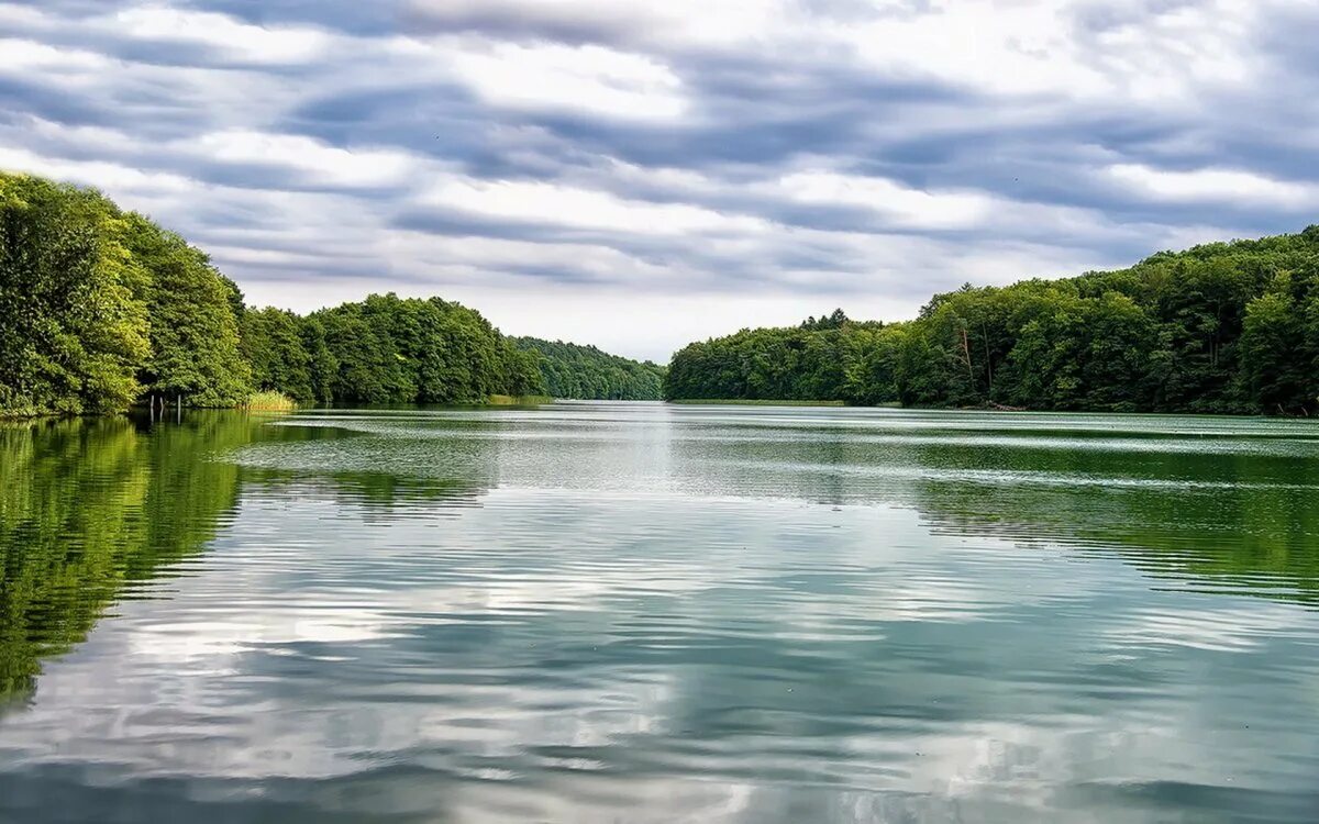 Природа новой зеландии река шотовер. На речке. Разные реки. Река картинка. River soon.