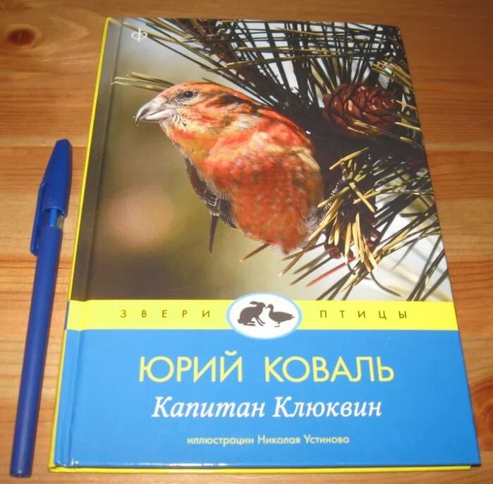 Книга в ухе слушать клюквин. Ю Коваль Капитан Клюквин.