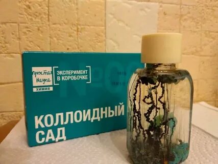 Эксперимент в коробке
