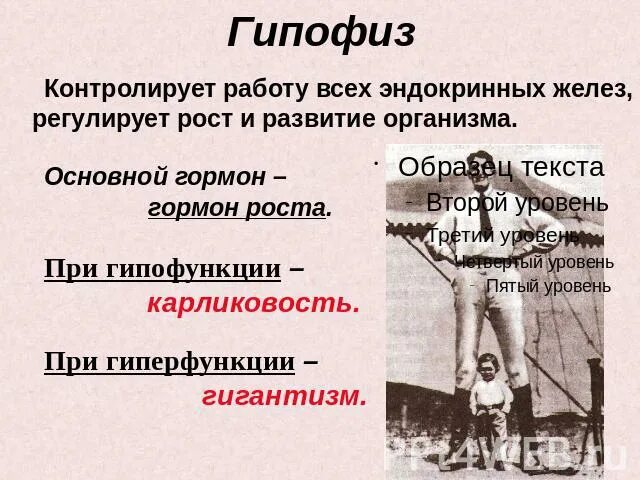 Гипофункция гормонов гипофиза. Гипофиз гормоны гиперфункция и гипофункция. Проявление гипо и гиперфункции гипофиза. Гипофиз последствия гипо и гиперфункции. Заболевания при гипо и гиперфункции гипофиза.