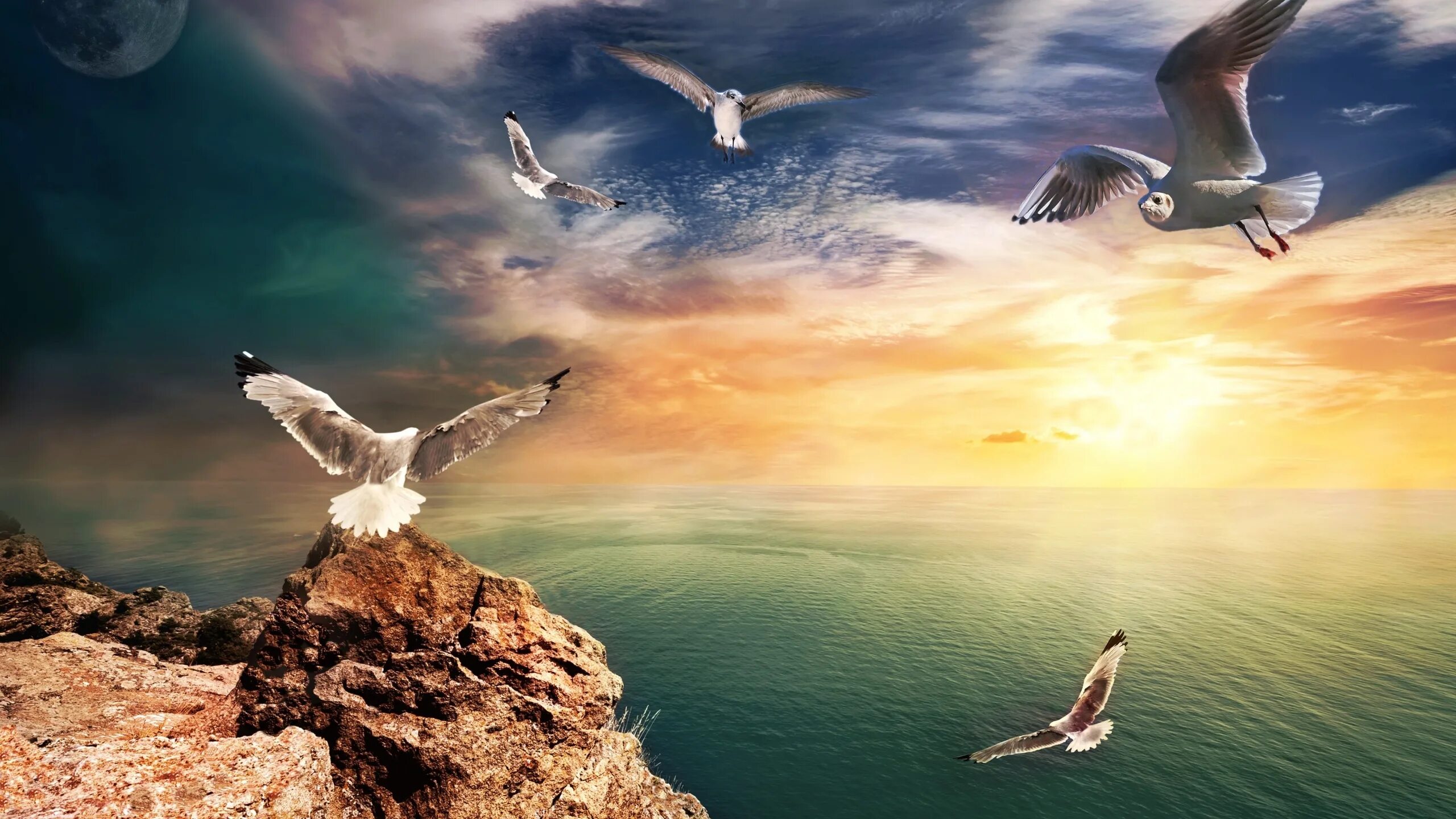 Чайка Утес Крым. Чайки в небе. Чайки на фоне гор. Орел над морем.