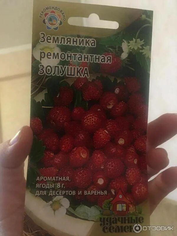 Клубника гирлянда отзывы. Земляника золушка гавриш. гирлянда земляника семена. семена земляника золушка. семена клубники гирлянда.