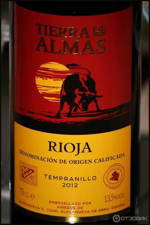 Красные вина риохи