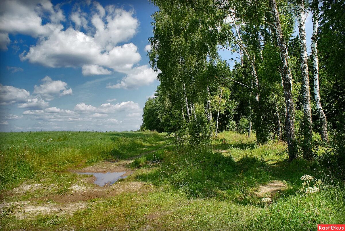 Русские на природе часть