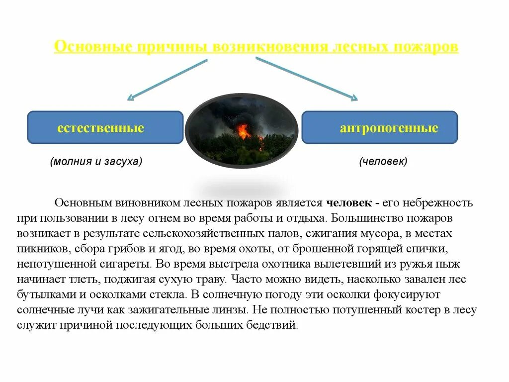 Может стать причиной появления. Причины возникновения лесных пожаров. Основные причины лесных пожаров. Антропогенные причины возникновения лесных пожаров. Основные причины возникновения пожаров.