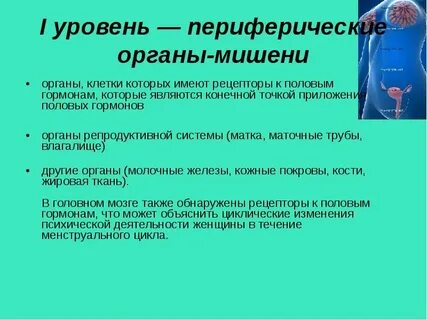 Уровни организации репродуктивной системы