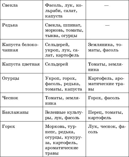 Что можно посадить после огурцов. Сходства и различия огурца и тыквы таблица. Морфологический признаки семян овощных культур. Схема севооборота гороха. Сходства огурца и тыквы таблица.