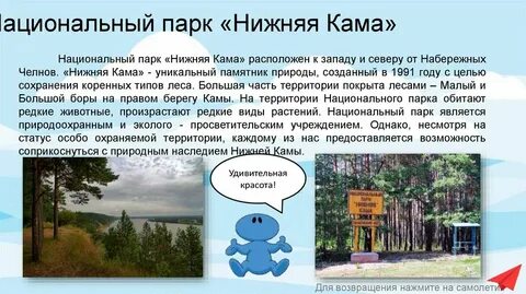Парки доклад