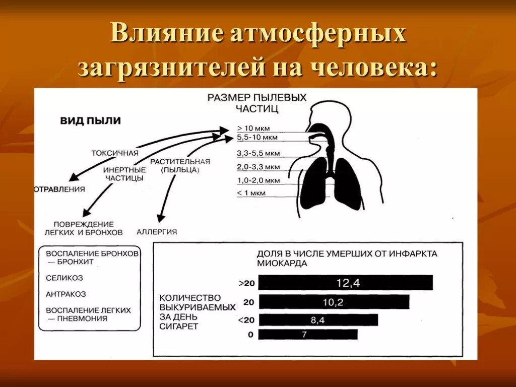 Схема воздействия атмосферных загрязнений на организм человека. Воздействие атмосферных загрязнений на человека. Влияние атмосферных загрязнений на человека. Влияние загрязнения воздуха на здоровье. Действие воздуха на организм