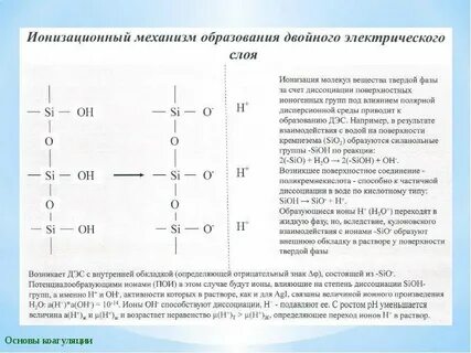 Двойное образование
