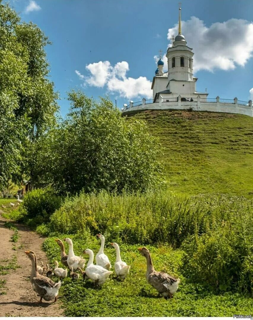 Епифань Тульская область. Храм в Епифани Тульской области. Епифань Тула. Храм Успения Епифань. Храм Успения Епифань. Картинки тульская область