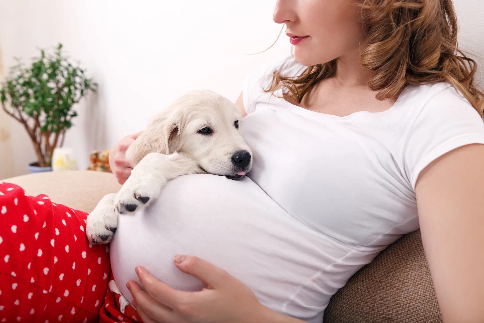 Беременность и животные. Женщина и домашние животные. Фотосессия для беременных с собакой.