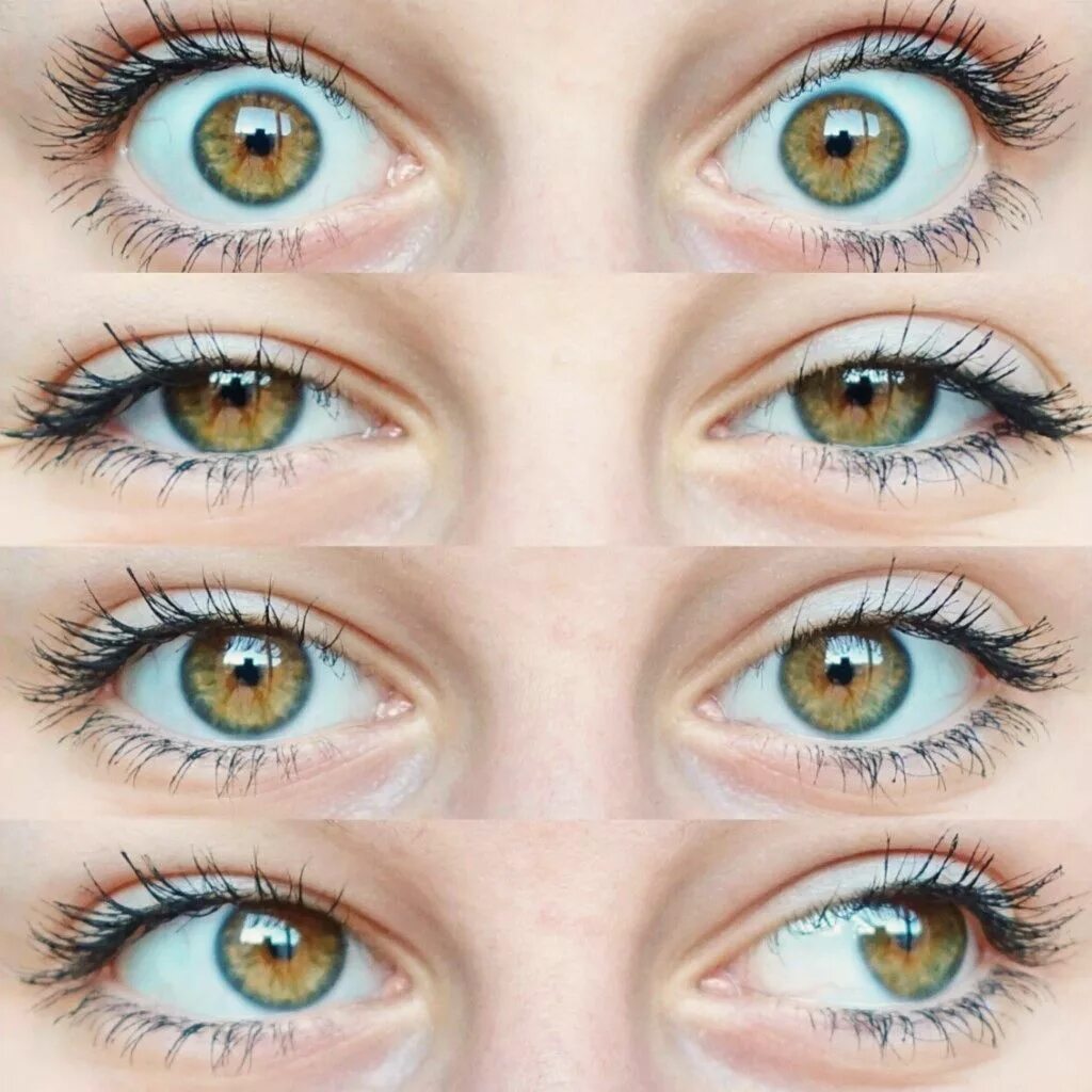 Какого цвета глазки. Оттенки глаз. Существующие цвета глаз. Смешанные цвета глаз. Оттенки зеленых глаз.