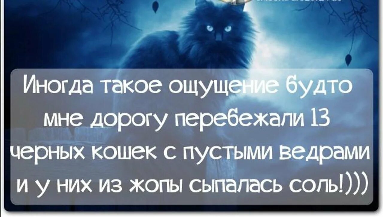 Правда жизни ответ. Правда жизни. правда жизни цитаты. правда жизни афоризмы. фразы правда жизни.