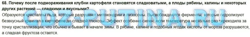 Почему картофель становится сладким после подмораживания. Почему после подмораживания рябины становится сладким. Биология 6 класс Пасечник 68 часов. Почему картофель после размораживания становится сладким?.