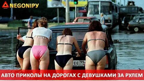 Приколы про все видео