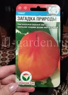 Томаты загадка природы характеристика