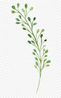 Pdf plant