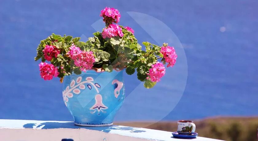 Экскурсионные туры на майские праздники. Майские праздники в Греции. Турция на майские праздники. Аристи Греция фото цветы.