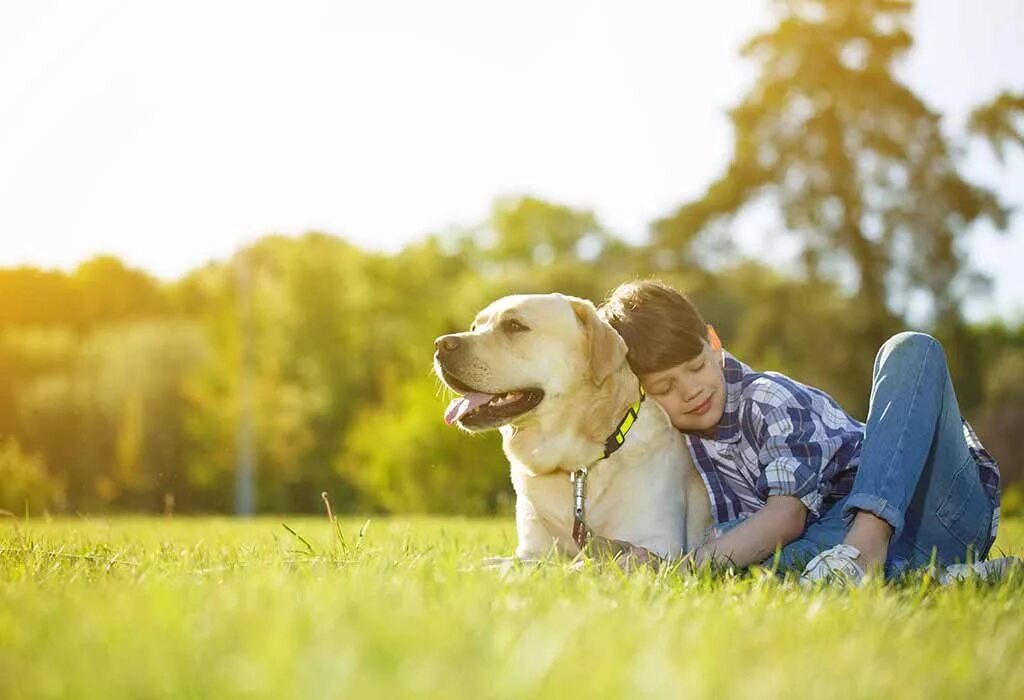 Человек с собакой. Прогулка с собакой. Для детей. Playing with the dog. Домашние животные с хозяевами.