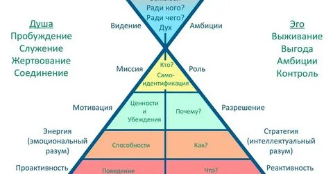 Вид видение