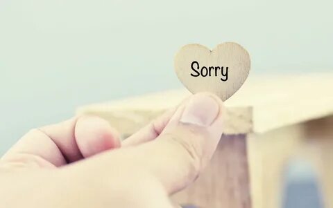 I m sorry to say