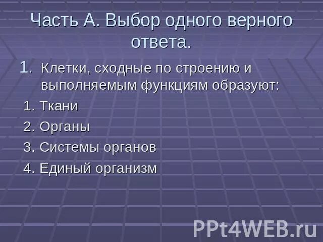 Сходные по строению функциям и происхождению. Клетки сходные по строению и выполняемым функциям образуют. Сходные по строению функциям и происхождению клетки образуют. Клетки сходные по строению и выполняющие одну функцию образуют. Клетки схожие по происхождению и выполняемым функциям образуют.