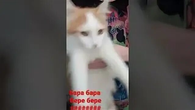Бери бери песня кто поет