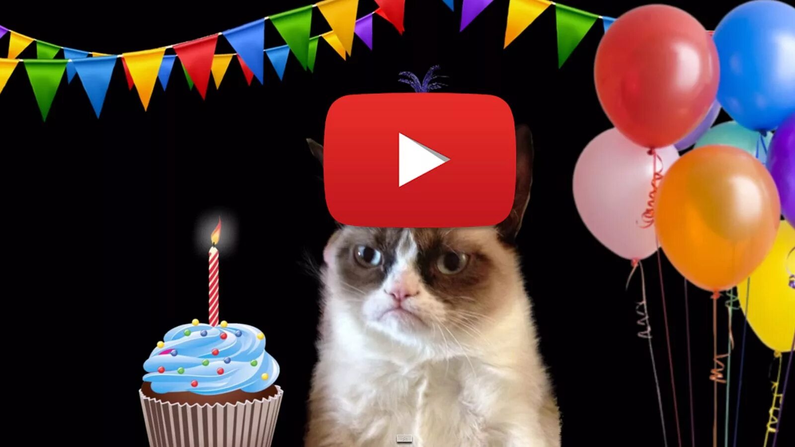 Юбилеи день рождения видео. С днем рождения кот. С днём рождения с котиками. Котик поздравляет с днем рождения. Поздравление с днем рождения коты.