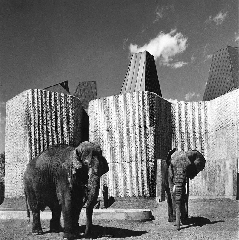 Elephant house. Лондонский зоопарк слон. Лондонские слонихи. Зверь апокалипсиса у здания ООН. Слониха в Лондоне.