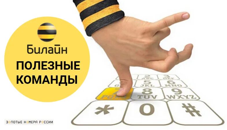 Узнать номер билайн на телефоне команда. Билайн. Команды Билайн. Полезные номера Билайн. Короткие номера Билайн.