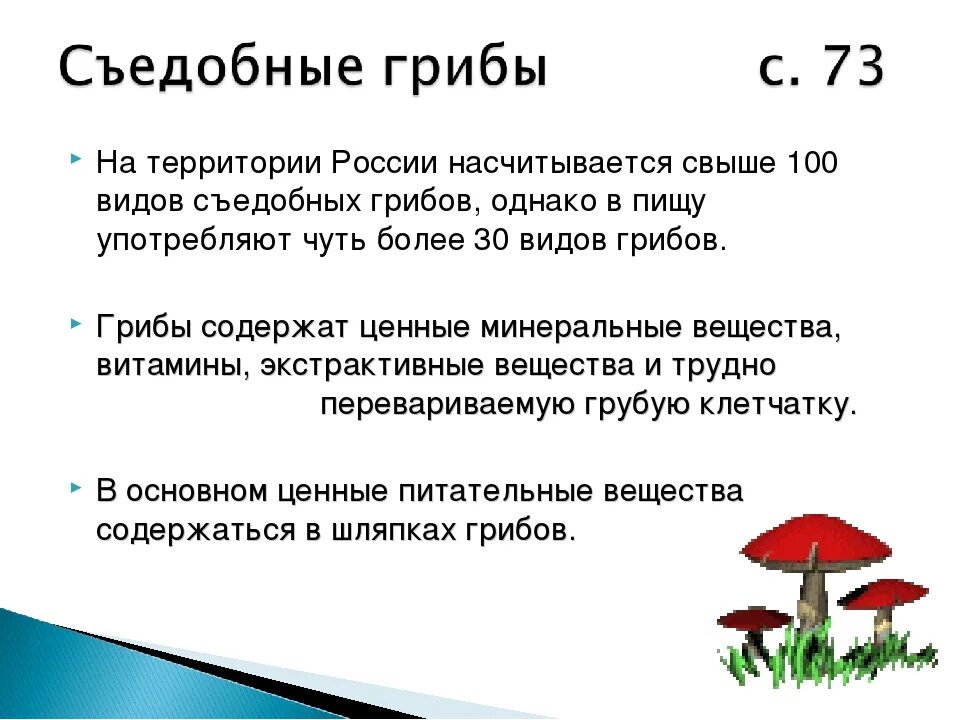 Реферат на тему грибы 5 класс. Реферат на тему грибы 5 класс. Сообщение на тему съедобные и несъедобные грибы 5 класс по биологии. Презентация грибов. Презентация на тему грибы.