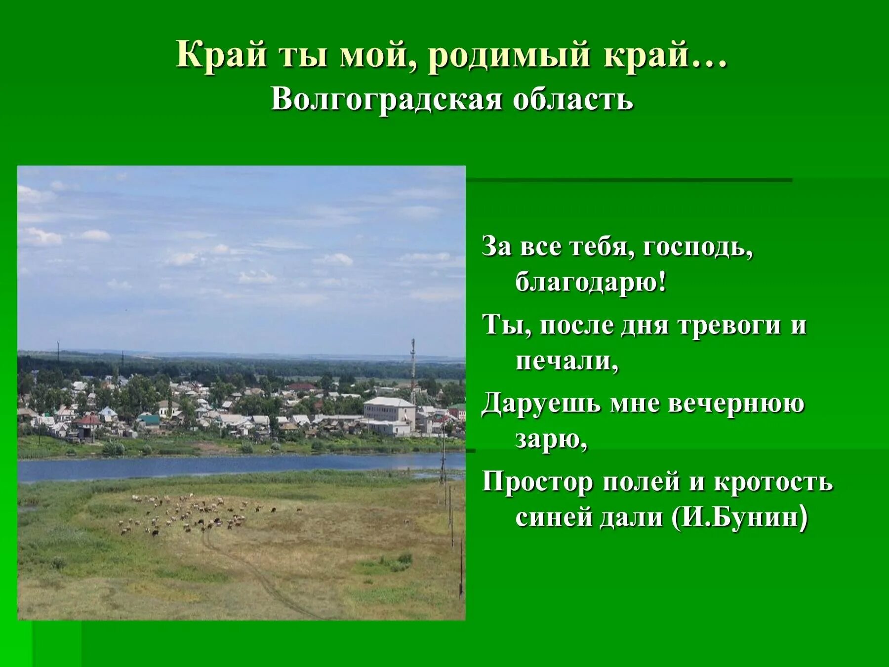 Стих край любимый. Волгоградская область презентация. Родные места стихи. Рассказ на тему мой край. Сочинение мой родной край.