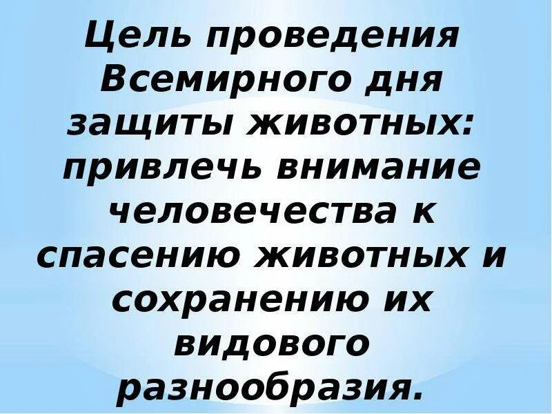 Мероприятие к всемирному дню животных. Всемирный день защиты. всемирный день защиты животных. всемирный день защиты животных презентация. 4 октября день животных презентация.