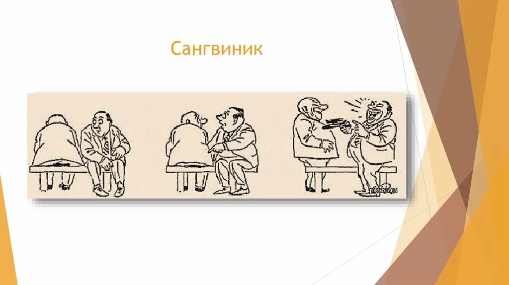 Сангвини. Сангвиник. Сангвиник иллюстрация. Ребенок сангвиник картинки. Холерик картинки для презентации.