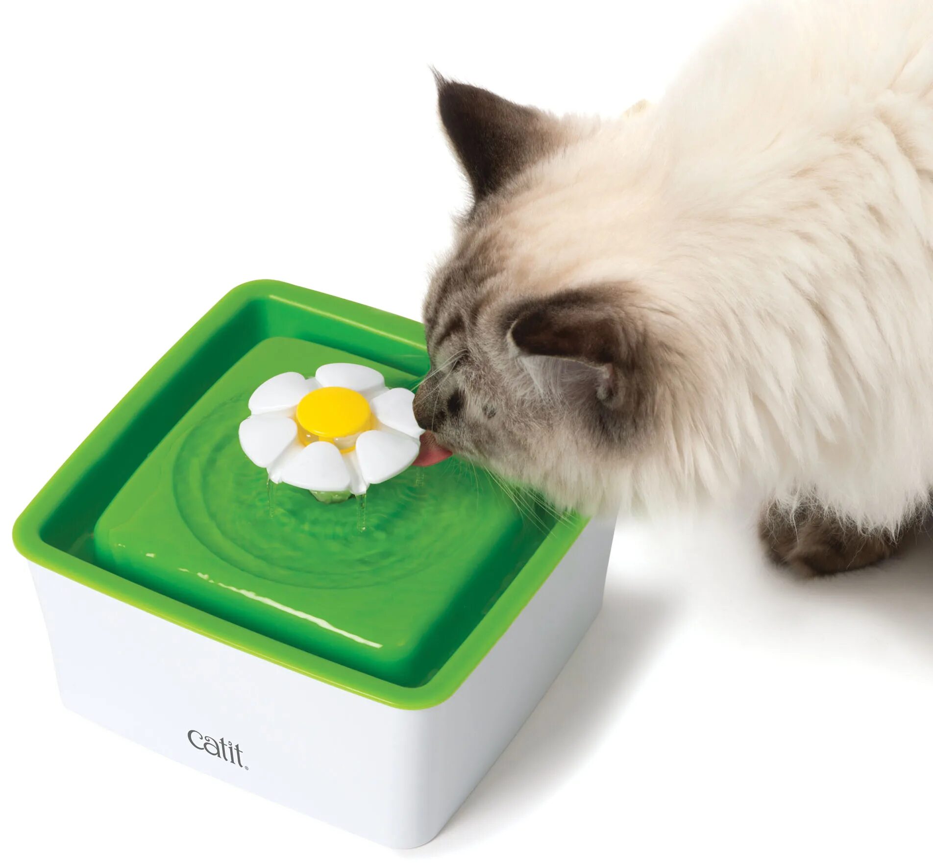 Catit поилка фонтан. Поилка Pet Catit. Catit фонтан для кошек. Фильтр Catit senses 2.0. Поилка фонтан для кошек купить