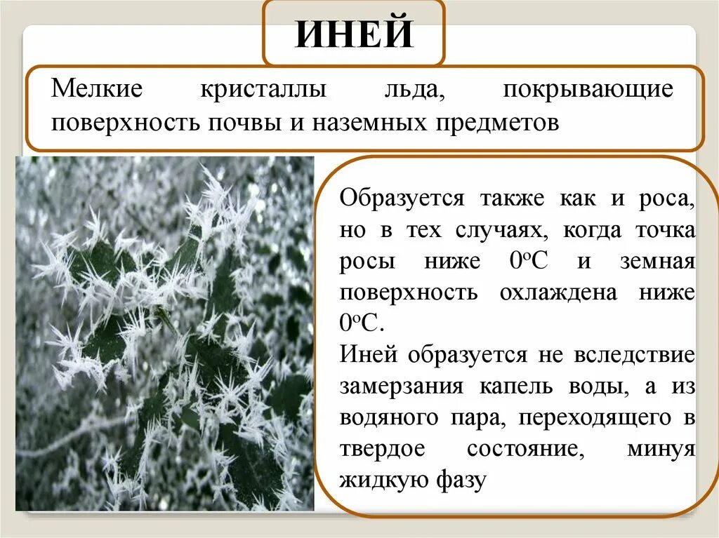 Изморозь это осадки. Образование инея схема. Иней образуется. Как образуется иней. Роса и иней.