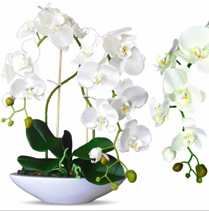 Орхидея в горшке нижний новгород. Фаленопсис белый в горшке. Орхидея в горшке Рясная белая. Орхидея т8096. Искусственная Орхидея в горшке.