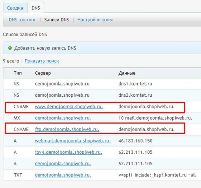 Добавьте в dns домена. Типы записи DNS таблиц. Пример txt записи в DNS. Типы ДНС записей. Как выглядят записи DNS сервера.