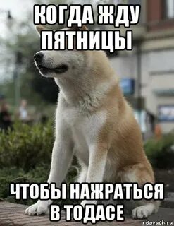 Жду пятницу песня