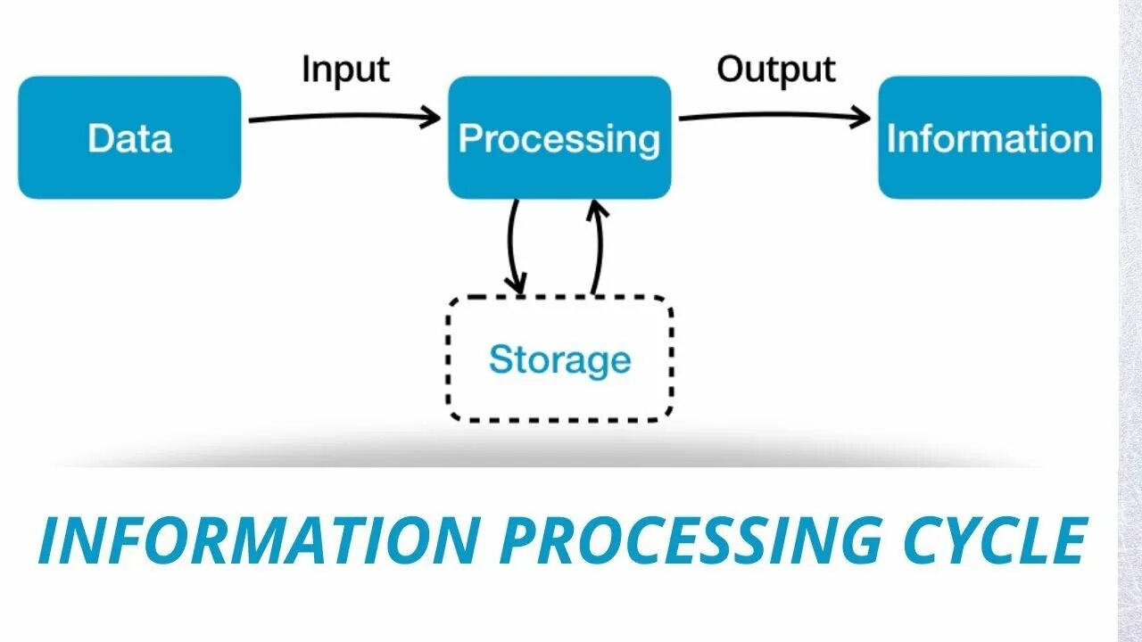 Data and process. Information processing. A data processing презентация. Data processing Systems.