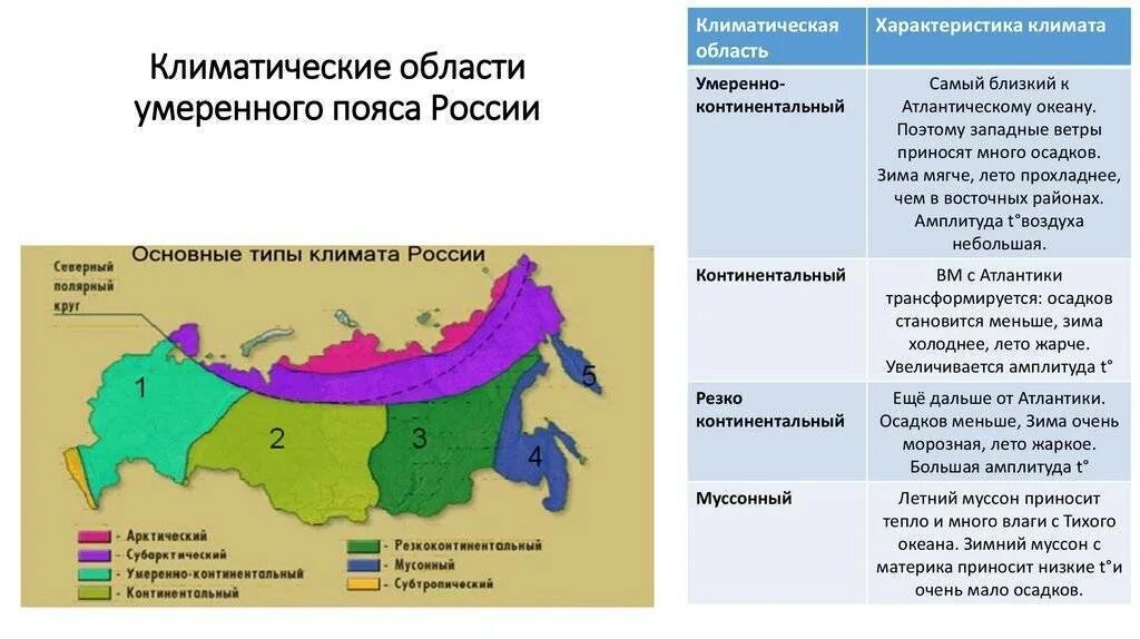 Условия россии. Климатические пояса и типы климата на территории России. Климатические области в умеренном поясе России. Географическая карта климатические пояса России. Климатические пояса и субъекты РФ.