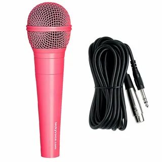 Voice mic